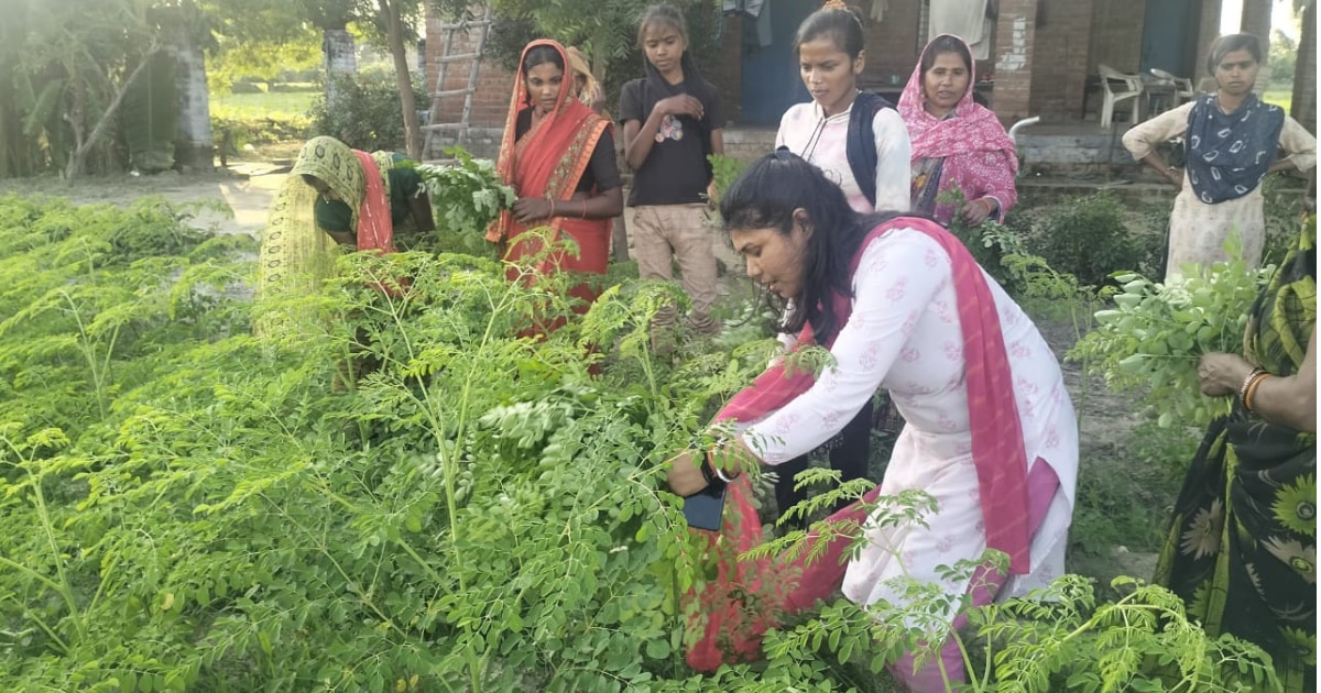 खेत से बाजार तक उत्पादों की बढ़ती मांग