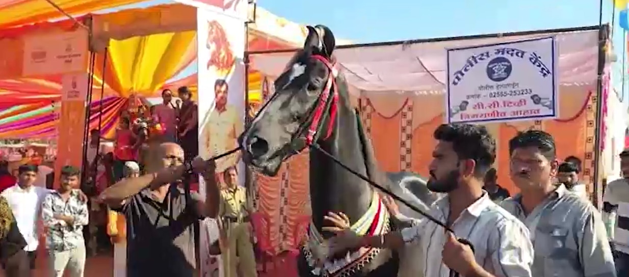 ब्रह्मोस घोड़ा