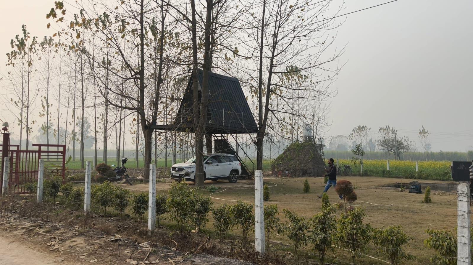 Saharanpur Tree House