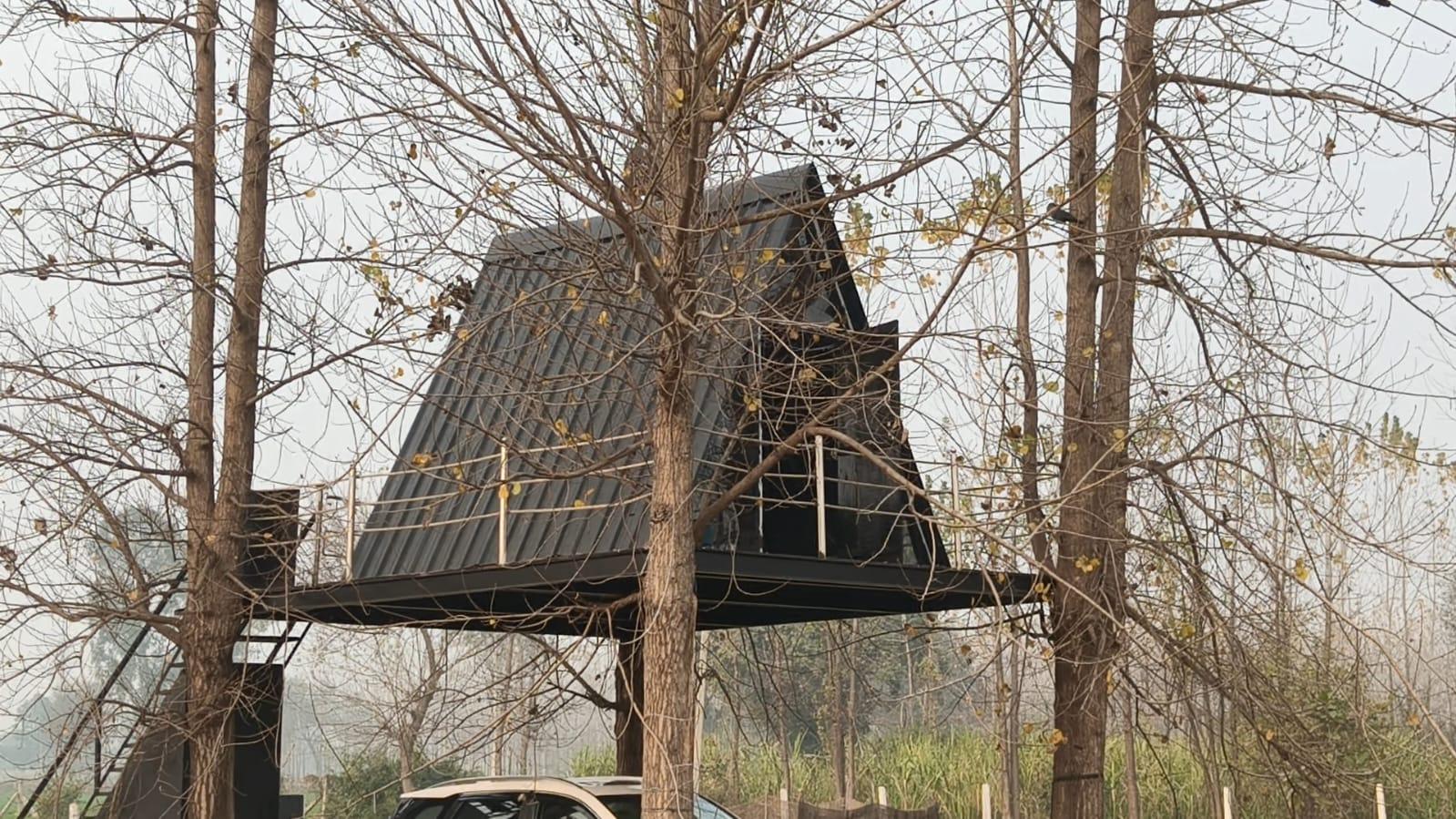 Saharanpur Tree House