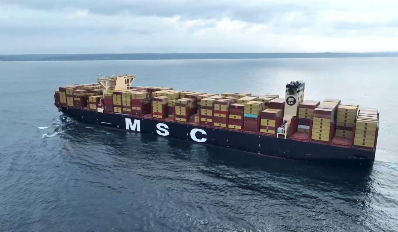 MSC Arina (Photo/PTI)