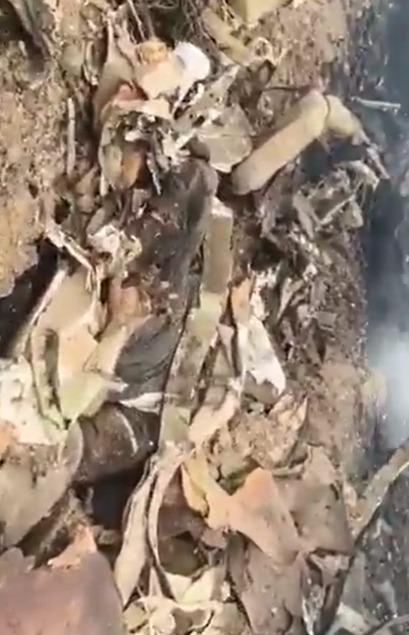 Ajit Pawar's plane crash