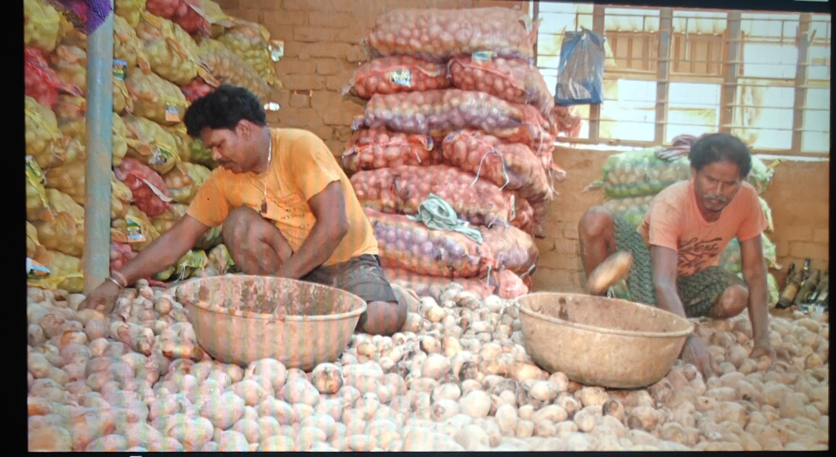 সিঙ্গুরে আলুচাষিদের দুরাবস্থা
