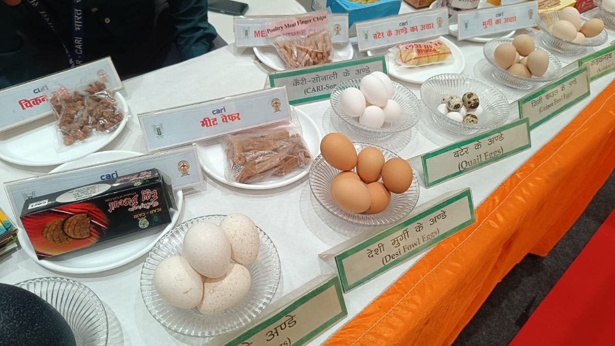 ‘यूपी पोल्ट्री कॉन्क्लेव-2026’ में लगे स्टॉल