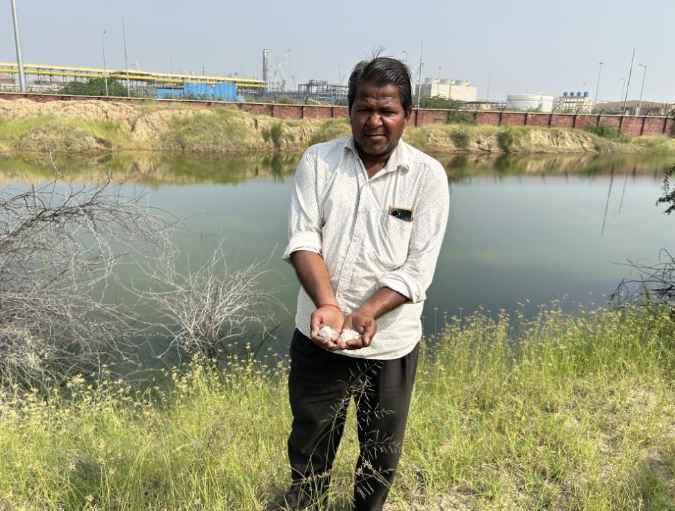 पचपदरा में नमक प्राकृतिक रूप से पाया जाता है