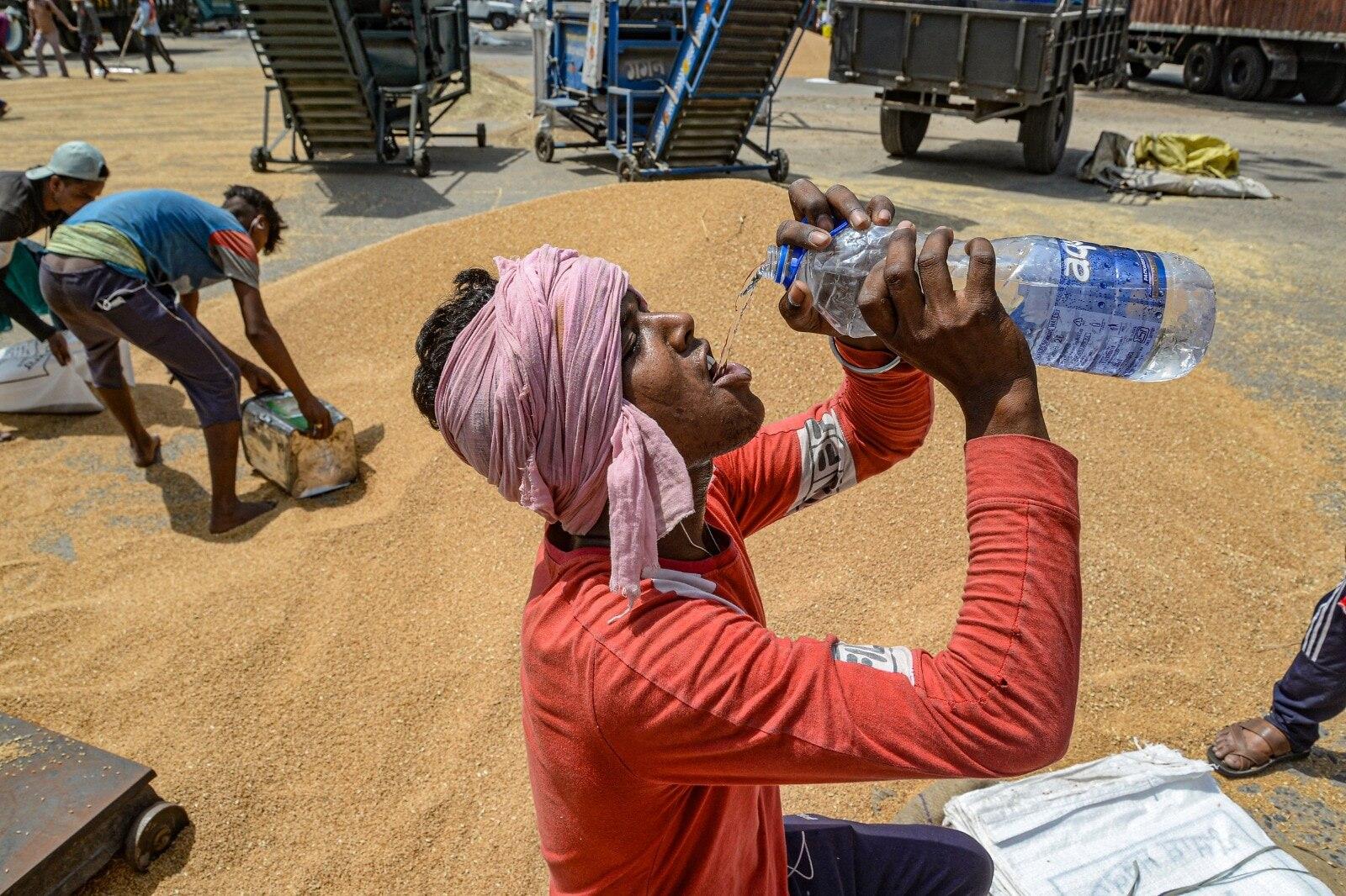 नौतपा में सबसे कठिन परीक्षा मजदूर वर्ग के लोगों की होती है