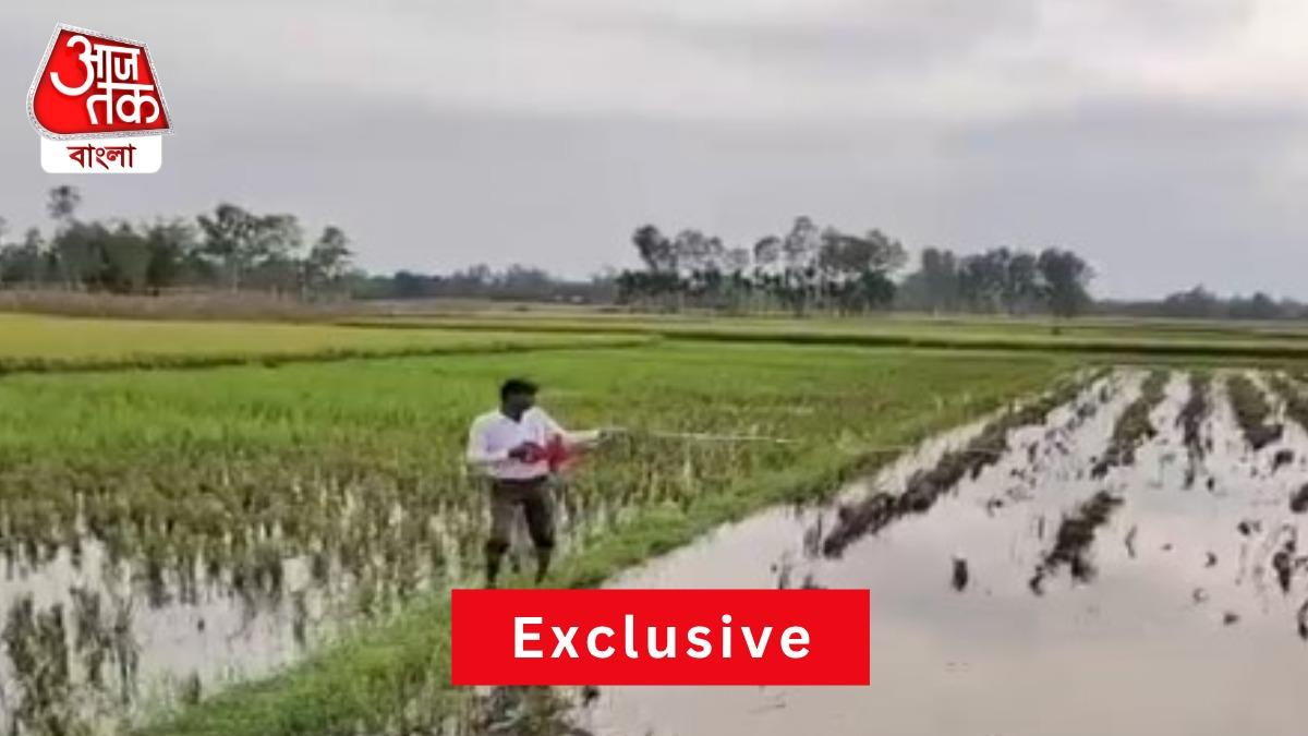 জলা জমিতে নেমেই কাজ করছেন অফিসাররা
