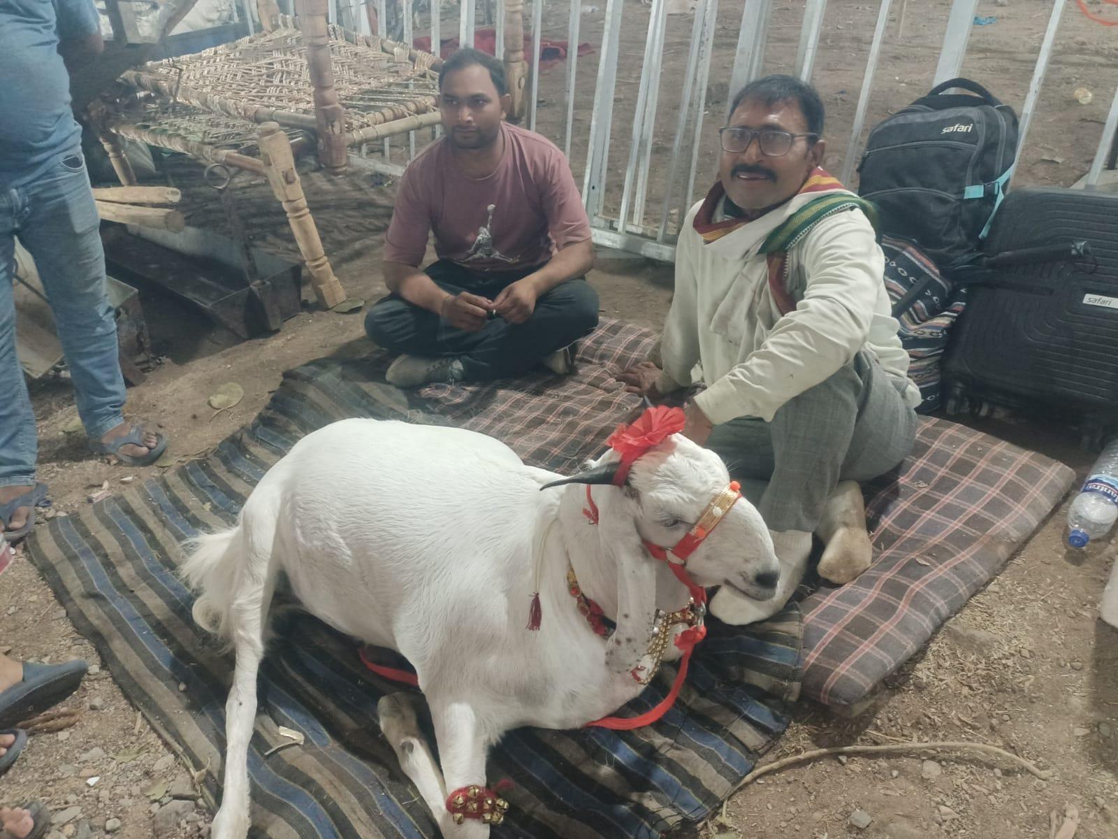 Unique Goats