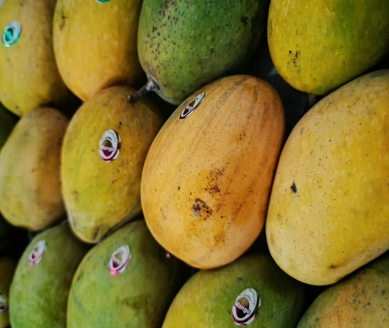 Alphonso