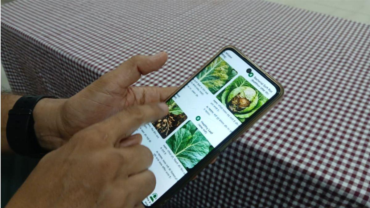 AI in Agriculture