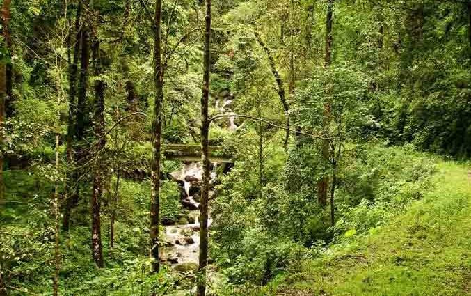 Bindu Tourism Kalimpong Landslide:
