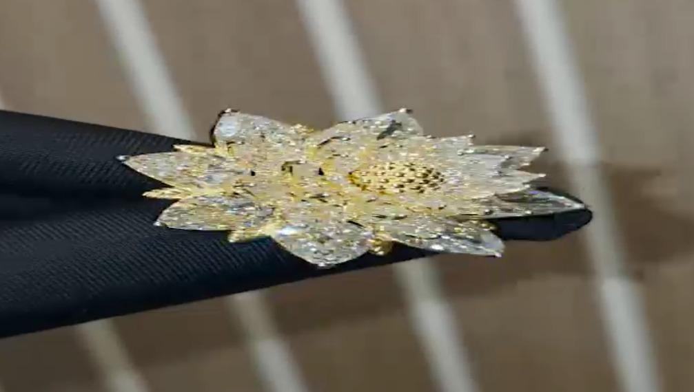 Diamond on Vikram -1 