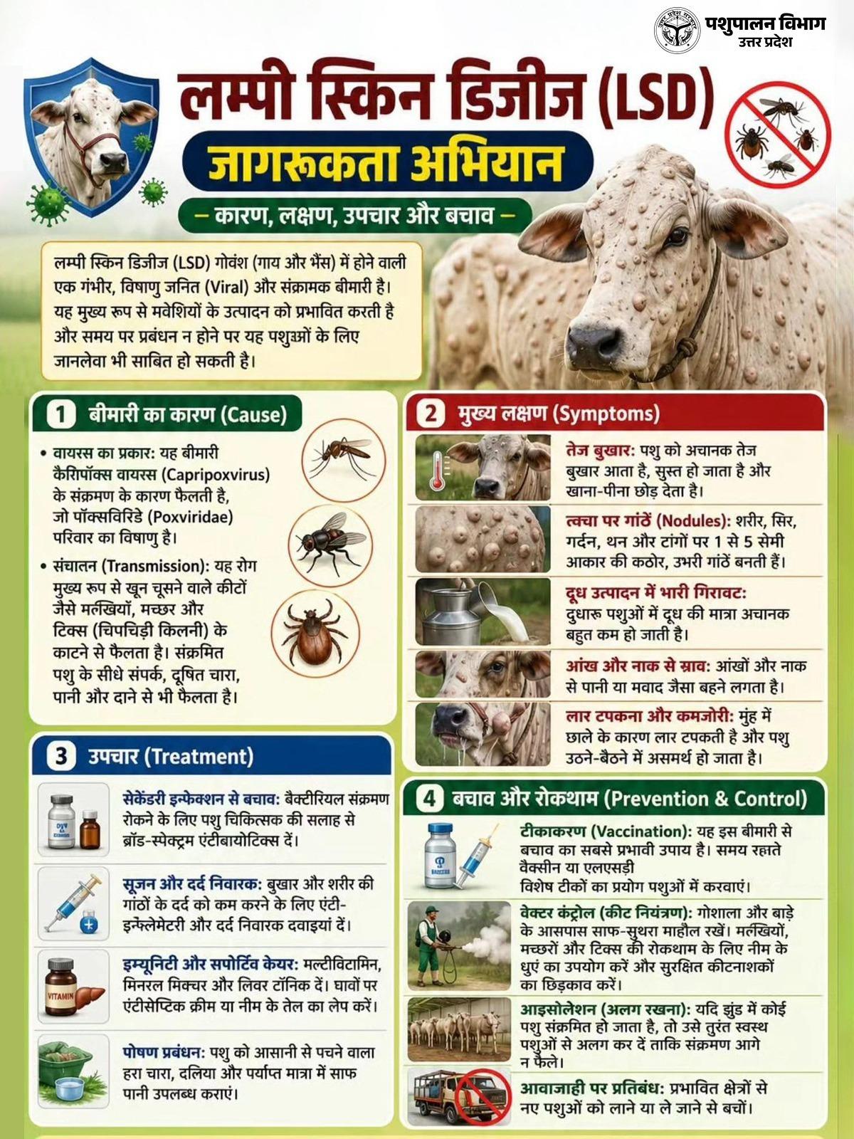 यूपी लंपी स्किन डिजीज को लेकर पशुपालन विभाग सतर्क हो गया है.
