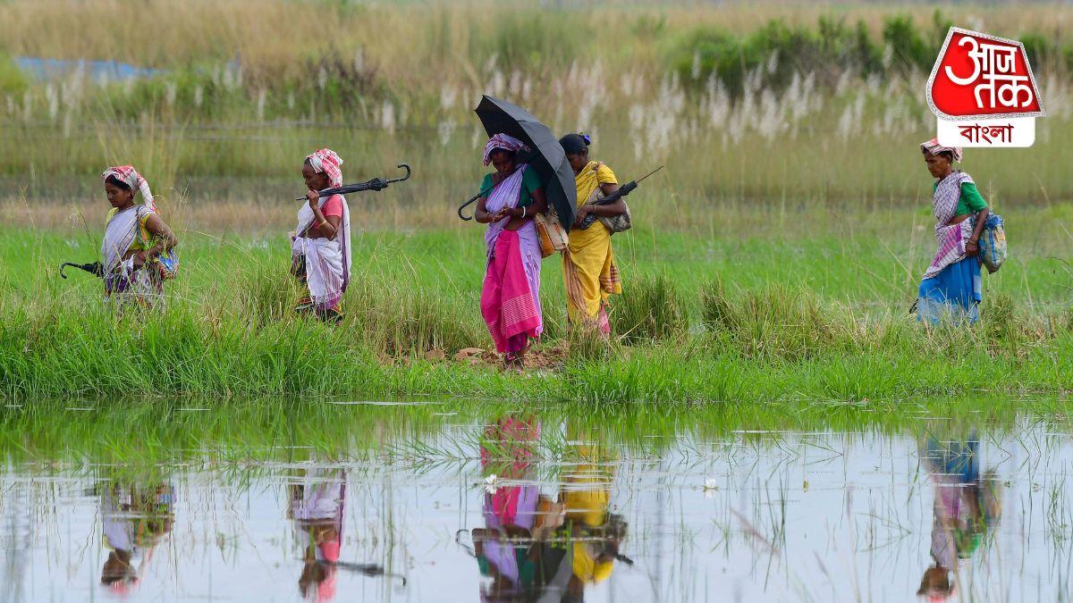 ডুয়ার্সে জলে ডুবে গিয়েছে চা বাগান - পিটিআই