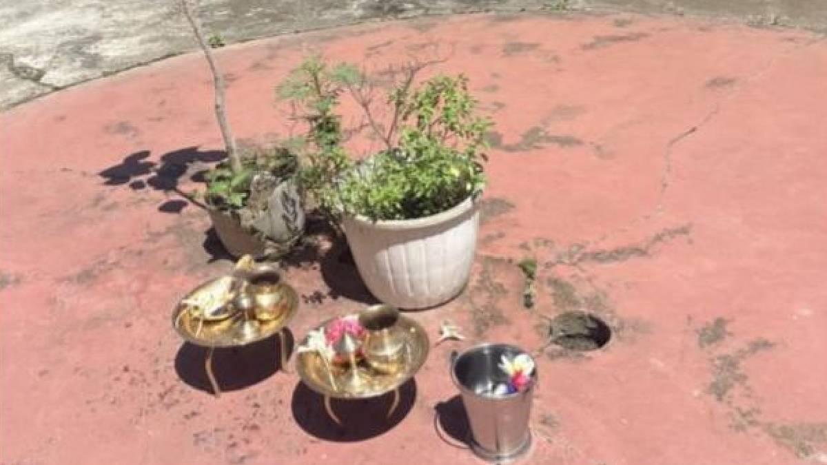 Tulsi and Peepal tree in a Meitei household from rural Manipur, September 2026