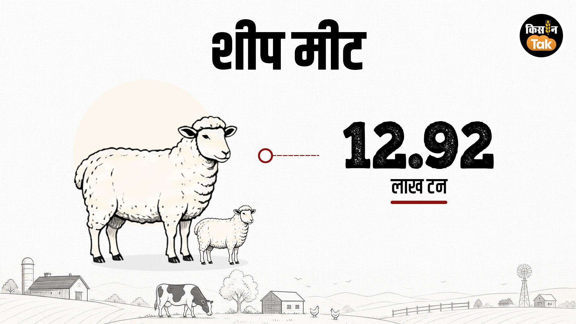 शीप मीट उत्पादन के मामले में देश दूसरे नंबर पर है.