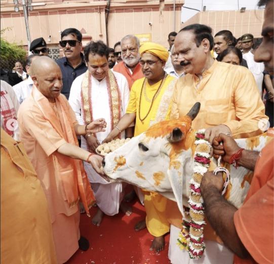 श्रीकृष्ण जन्मभूमि मंदिर परिसर में गोपूजन करते मुख्यमंत्री 
