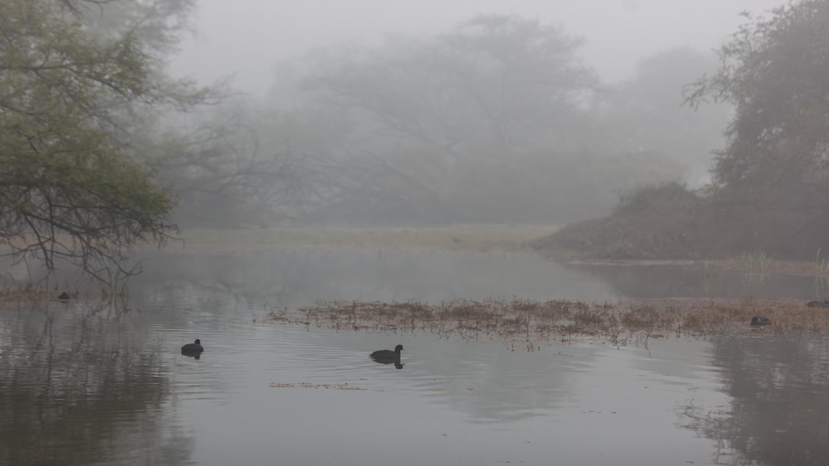 UP Weather Update UP Weather Update