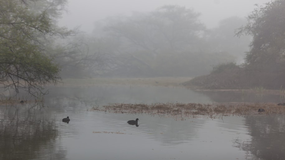 UP Weather Update UP Weather Update