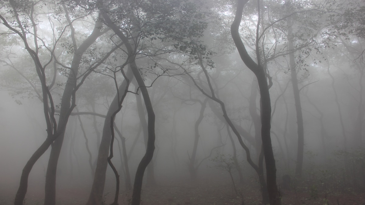 UP Weather Update UP Weather Update