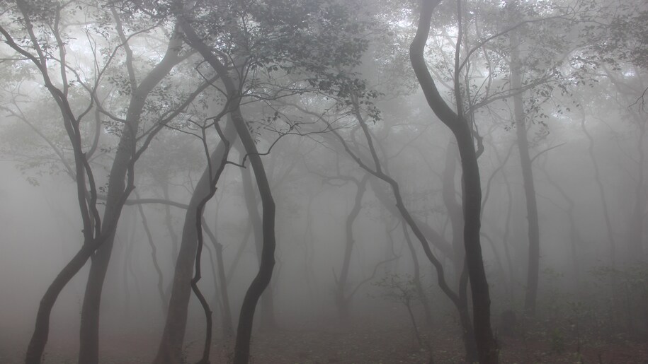 UP Weather Update UP Weather Update