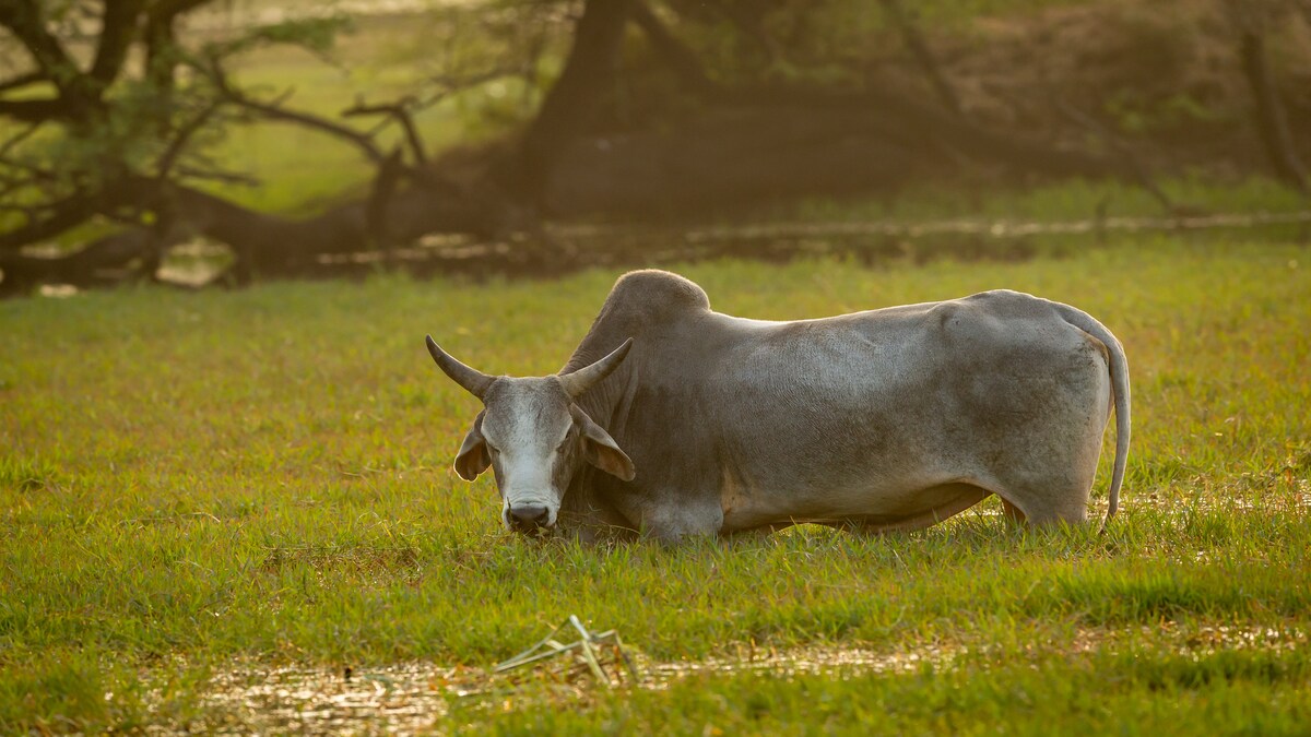 UP weather Update UP weather Update