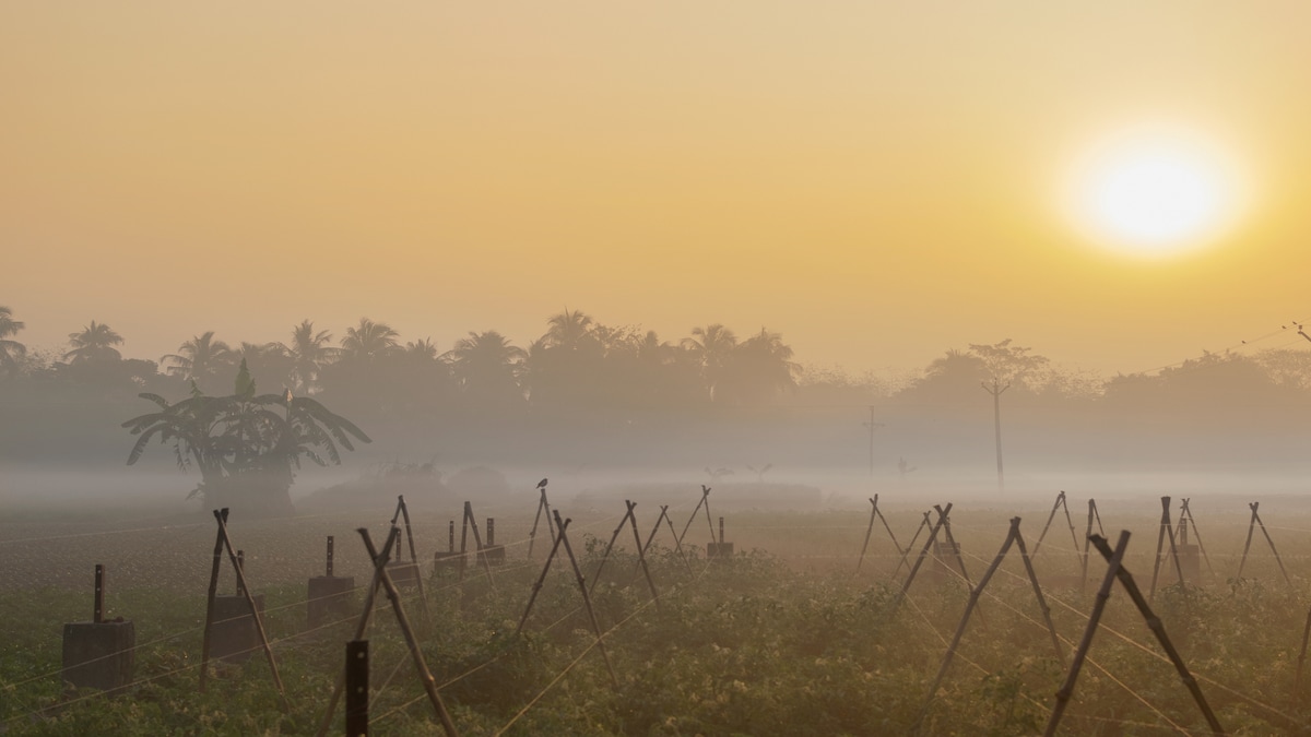 UP Weather Update UP Weather Update