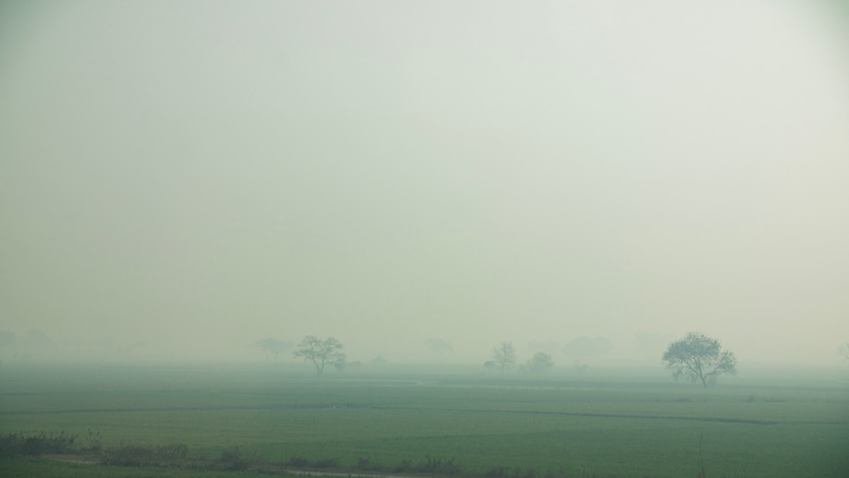 UP Weather Update UP Weather Update