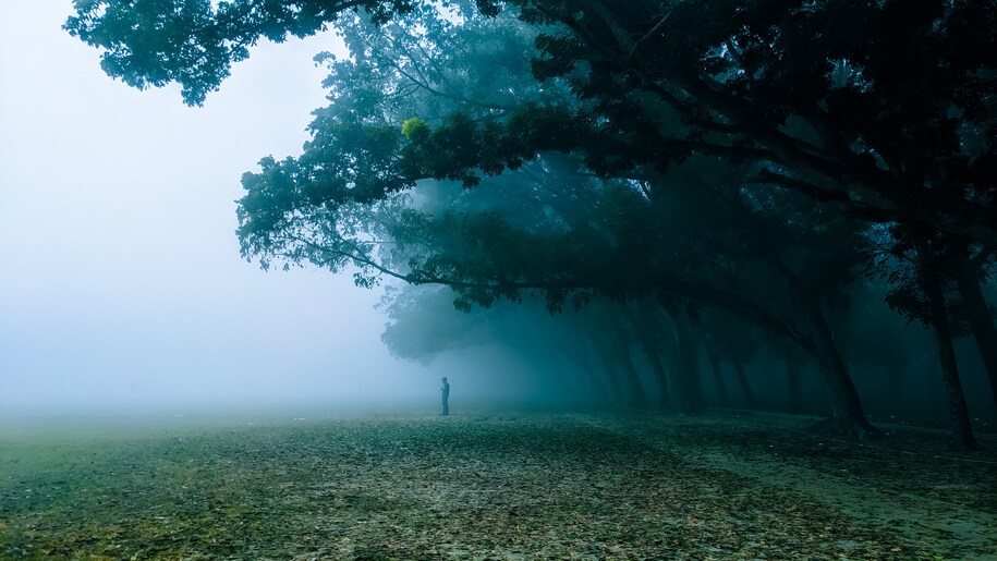 UP Weather Update UP Weather Update