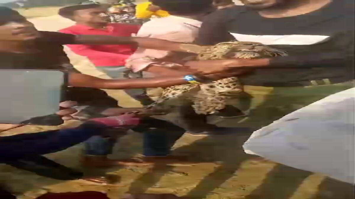 Maharajganj News Maharajganj News