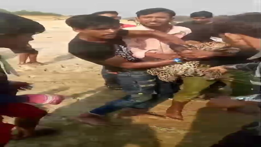 Maharajganj News Maharajganj News