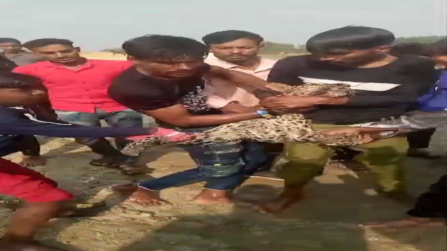 Maharajganj News Maharajganj News