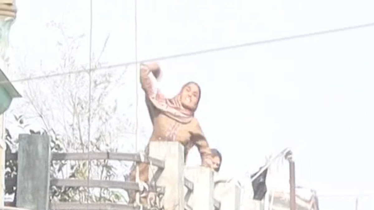 Sambhal Hinsa Sambhal Hinsa