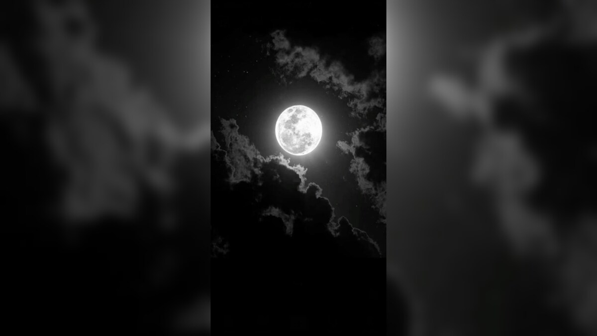 AI generated Image AI generated Image