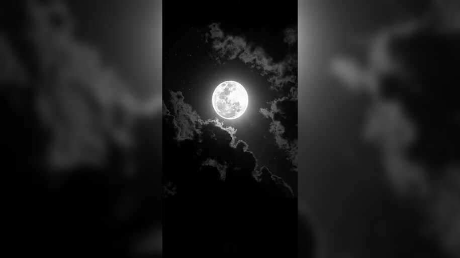 AI generated Image AI generated Image