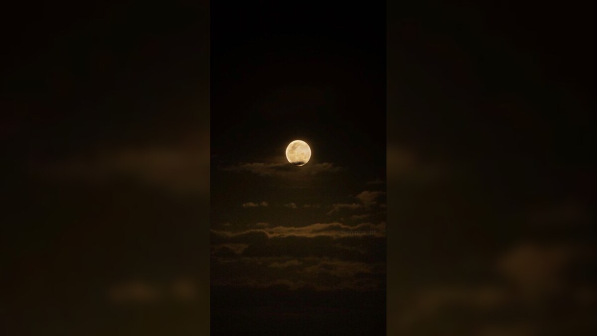 AI generated Image AI generated Image