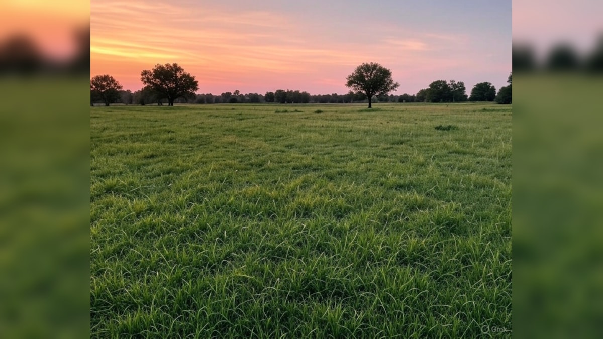 AI Generated Image AI Generated Image