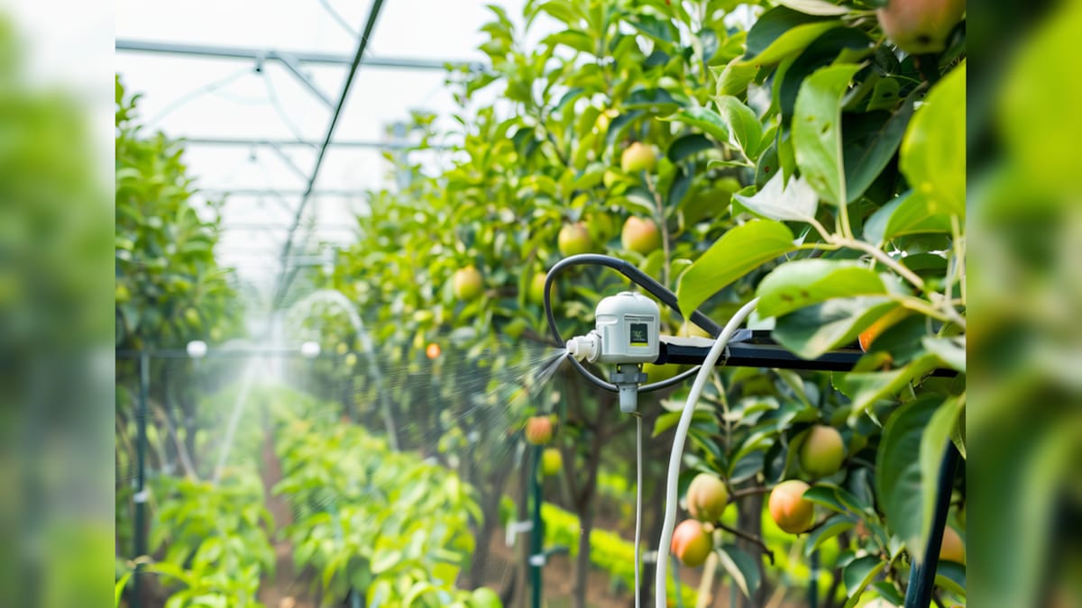 sant kabir nagar news sant kabir nagar news