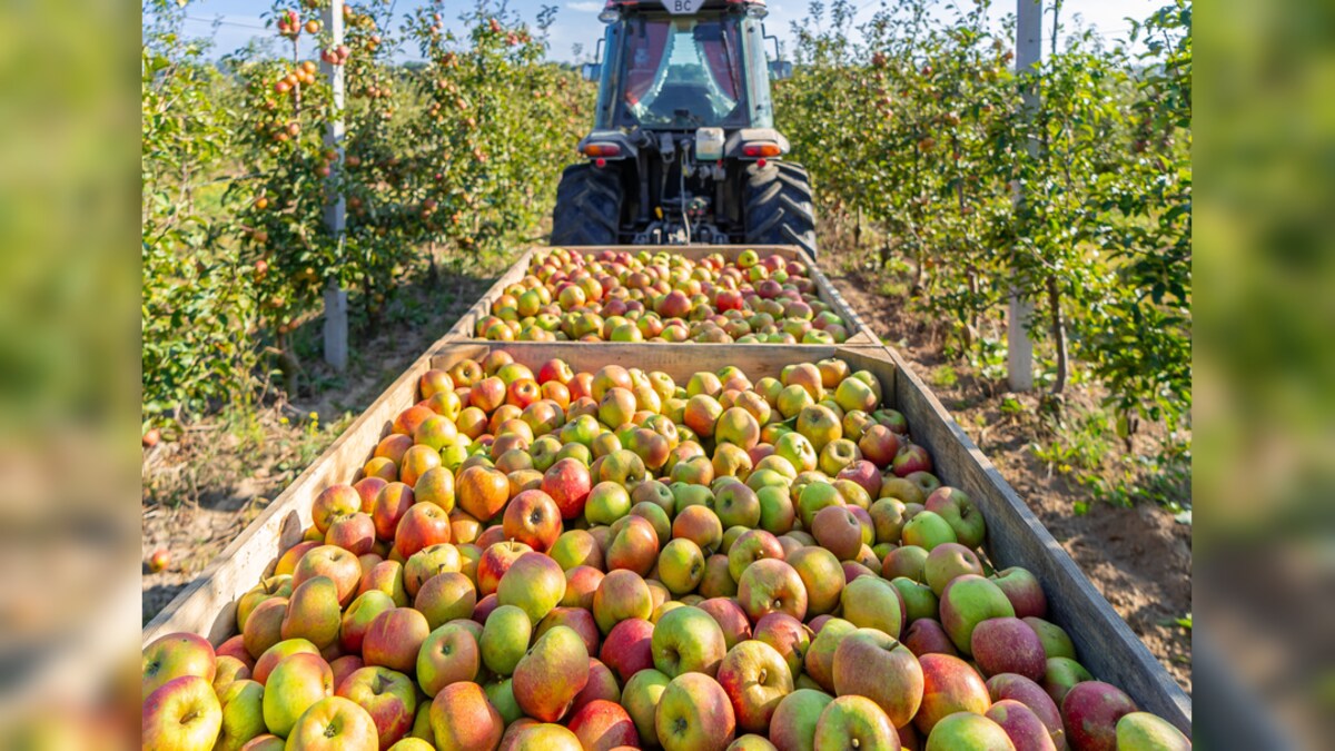 sant kabir nagar news sant kabir nagar news