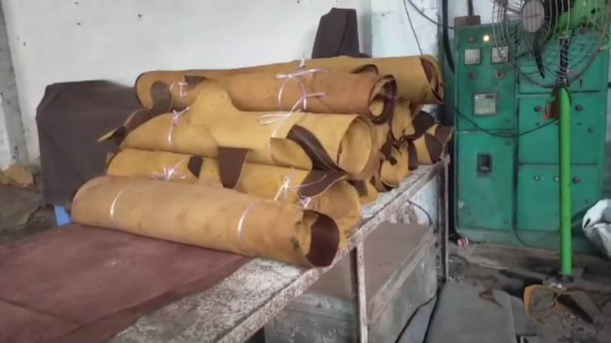 kanpur leather factory kanpur leather factory