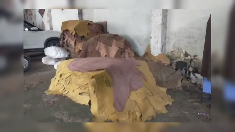 Kanpur leather factory Kanpur leather factory
