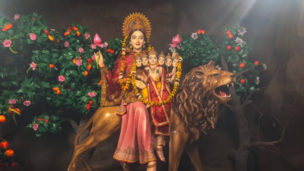 नवरात्रि के इन 10 महाउपाय से घर में भर जाएगा धन, ज्योतिषी वान्या आर्या से जानिए
