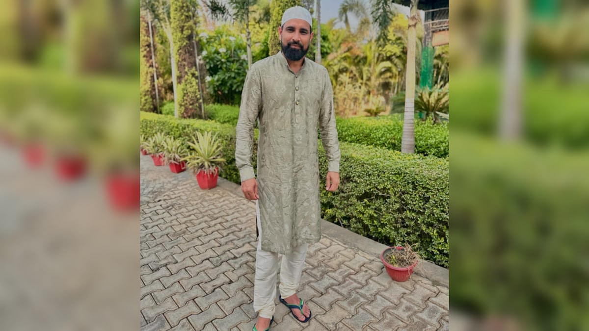 mohammad shami mohammad shami