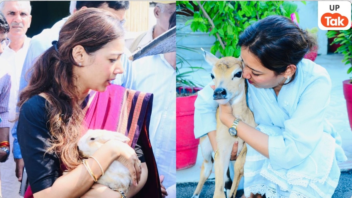 अस्मिता लाल कैसे बन गईं IAS और फिर चर्चित DM, तीसरे अटेंप्ट में मिली सफलता की पूरी कहानी जान लीजिए