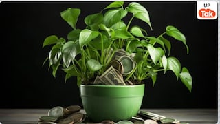 मनीप्लांट की एक गलत दिशा बना सकती है कंगाल, जानें धन लाभ के लिए इसे रखने का सही कोना मनीप्लांट की एक गलत दिशा बना सकती है कंगाल, जानें धन लाभ के लिए इसे रखने का सही कोना