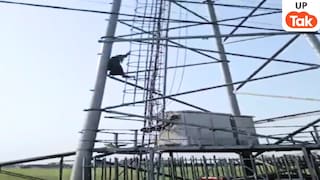 शादीशुदा प्रेमी के लिए टावर पर चढ़कर जोर-जोर से उसका नाम चिल्लाने लगी लड़की, फिर ये पता चला UP Tak