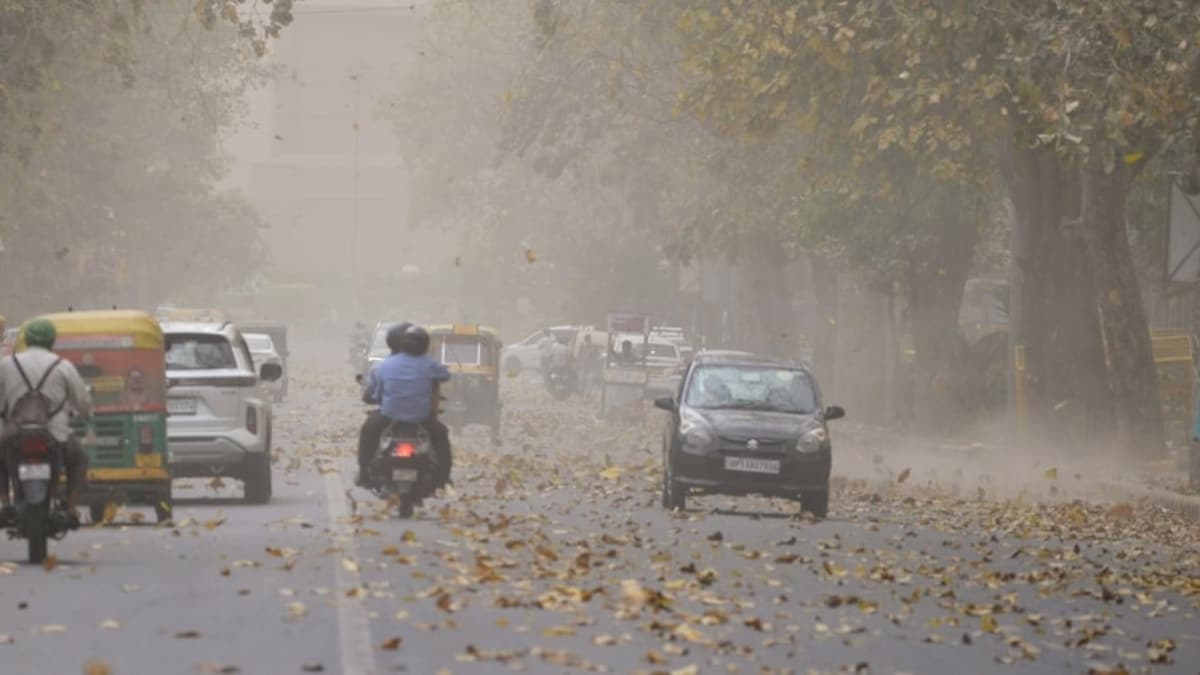 3 3