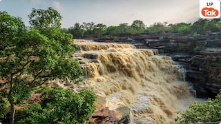 नेचर लवर्स के लिए जन्नत है यूपी का यह वाइल्डलाइफ सेंचुरी , तस्वीरों में देखिए इसकी खूबसूरती UP Tak