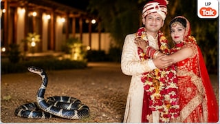 कितना घातक होता है ‘करैत सांप’ का जहर जिससे कटवाकर मेरठ की दामनी ने पति अतुल पंवार को मार डाला? Meerut Crime News