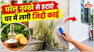 छत और आंगन में बारिश से लग गई है जिद्दी काई? इस घरेलू नुस्खे से चुटकियों में होगी साफ UP Tak